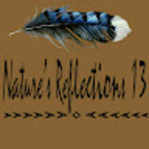 Meet your Posher, Dana lynn13